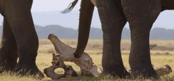 豆瓣9.7的冷门好片，送给每个热爱生命的人