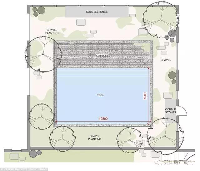 小贝的新家,小贝新家