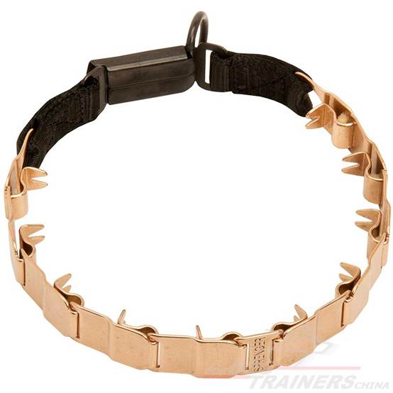 遛狗的狗绳怎么给狗狗套上,外出遛狗怎样才能让狗跟着主人走