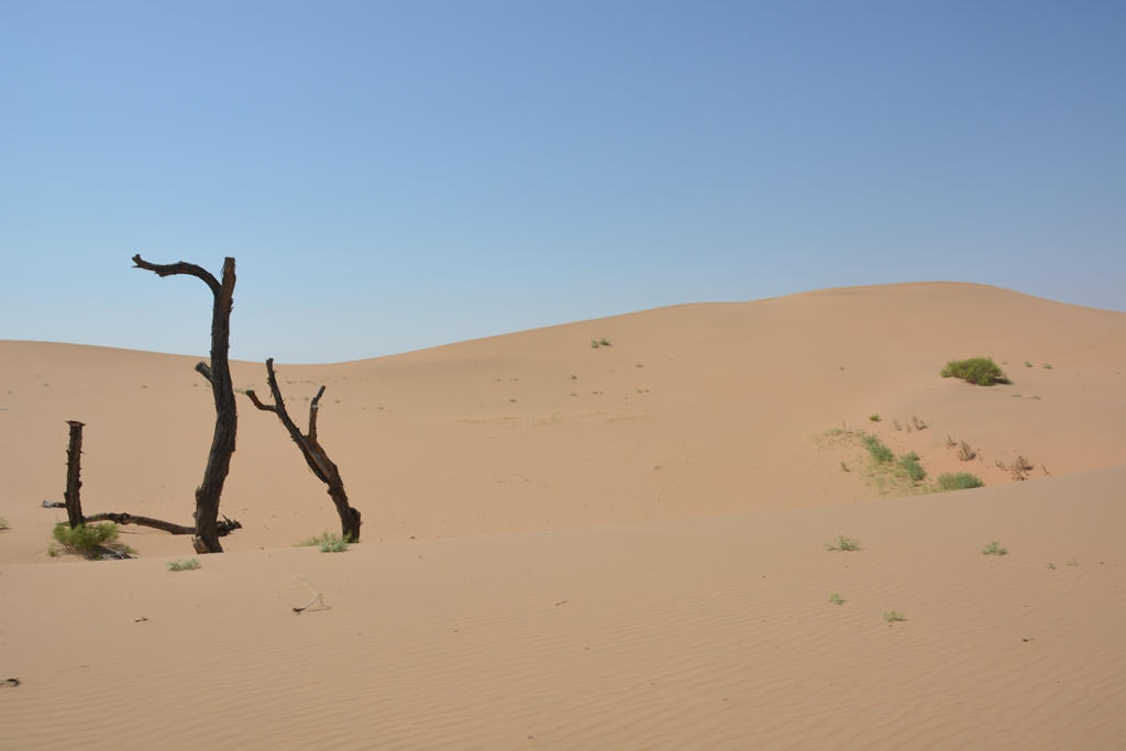 西安到阿拉善左旗自驾游攻略,西安到阿拉善三日游