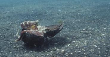 豆瓣9.7的冷门好片，送给每个热爱生命的人