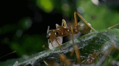 豆瓣9.7的冷门好片，送给每个热爱生命的人