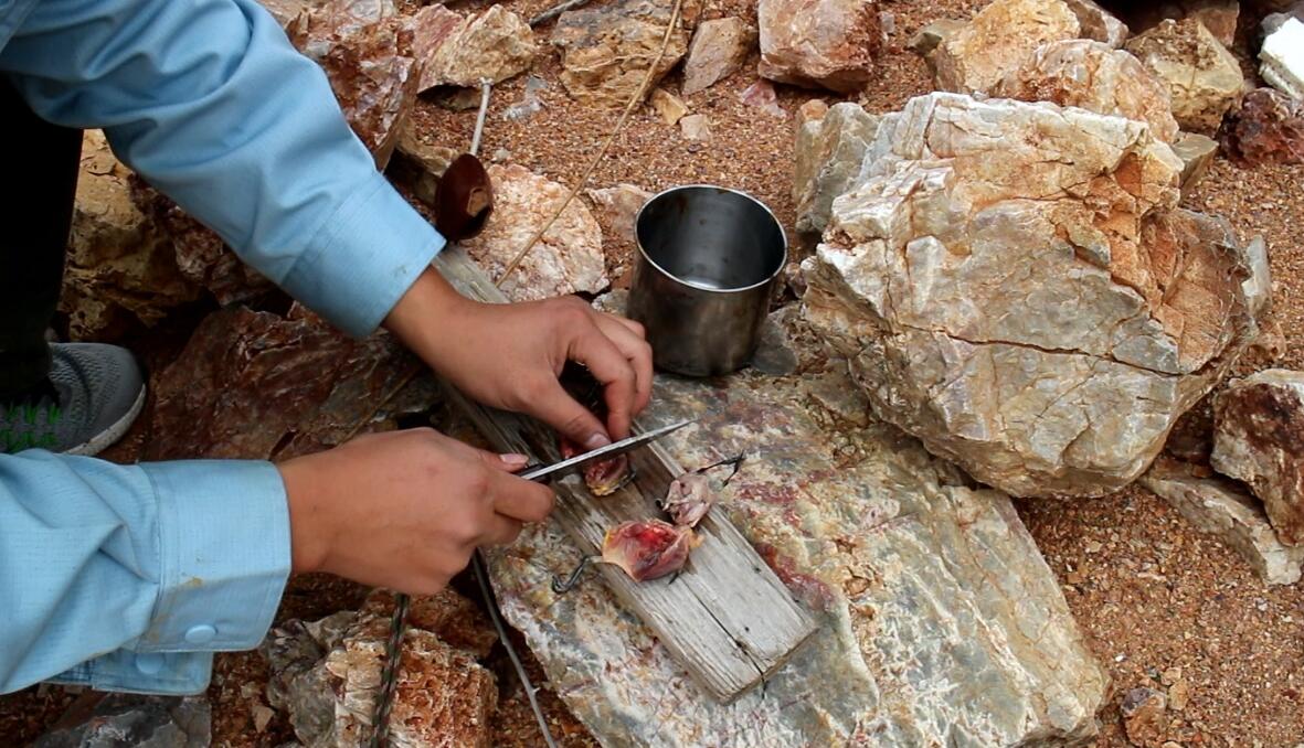 弹弓能不能射大型动物,弹弓能狩猎多远的猎物