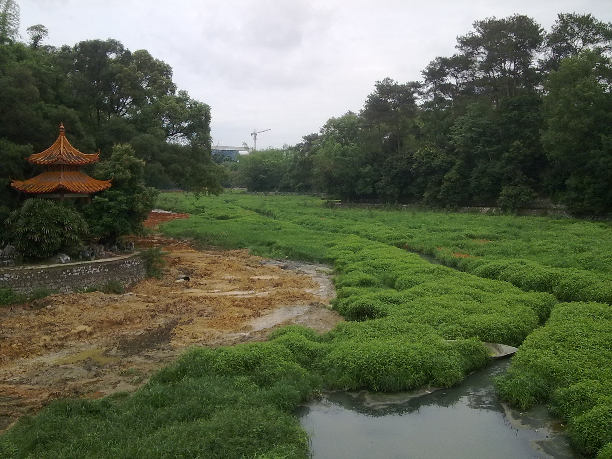9年前诺基亚,诺基亚n78手机性能