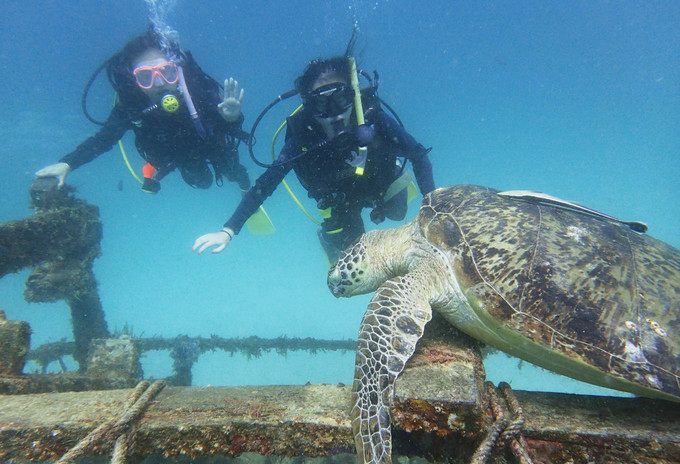 马来西亚仙本那潜水证怎么考,马来西亚仙本那潜水证要钱吗