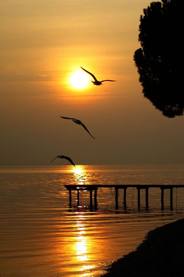 栗子姐情感问答07,栗子姐每日情感问答完整版