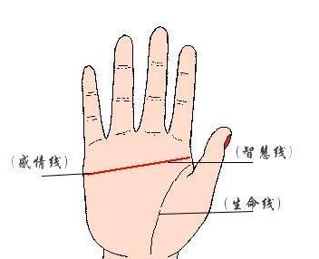 断掌的最佳破解方法,断掌有没有不成功的