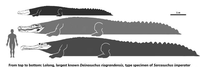 史前公园暴龙和恐鳄,史前恐鳄大战霸王龙