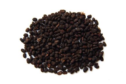 补骨脂与破骨脂有何区别,补骨脂功效与作用及食用方法