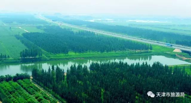 说走就走吧自驾环游,说走就走一起出发去旅行