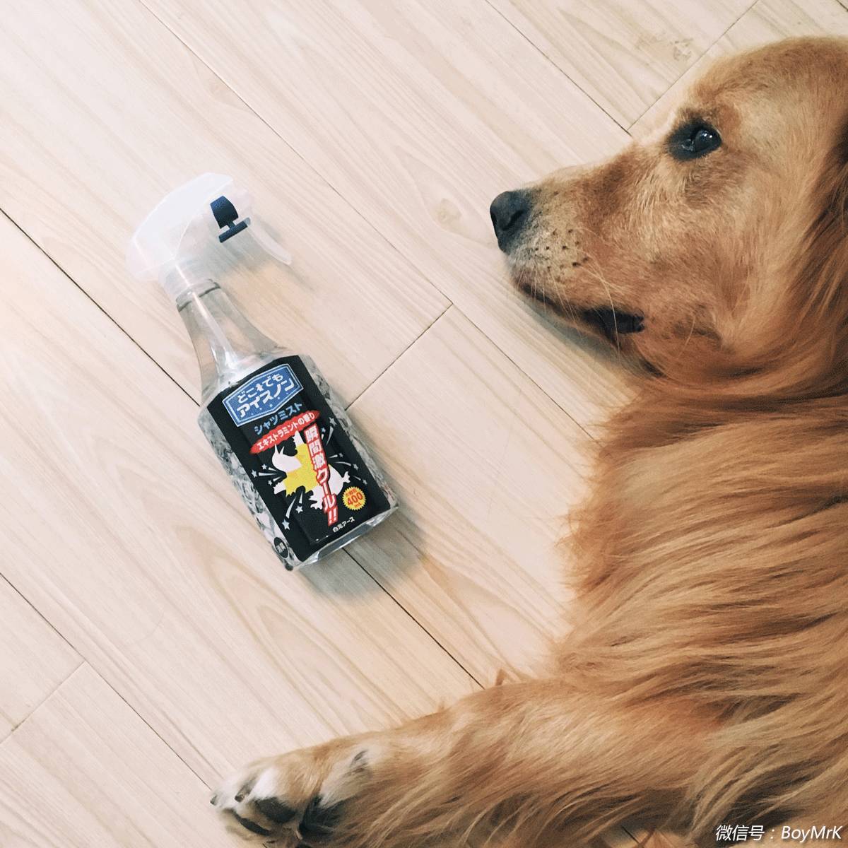 种草清单,种草冬日必备单品之一