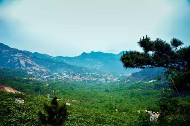 说走就走走遍全中国旅游,说走就走的旅行完整版