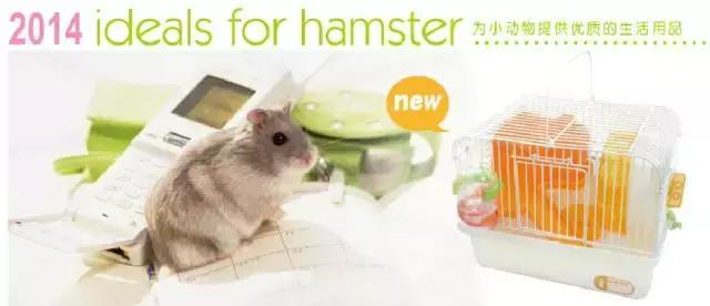 亚宠展攻略狗狗,亚宠展2020爬宠