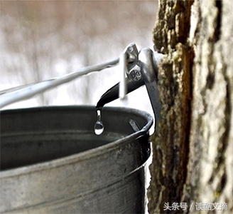 全球最值得带的伴手礼,旅行必买的伴手礼