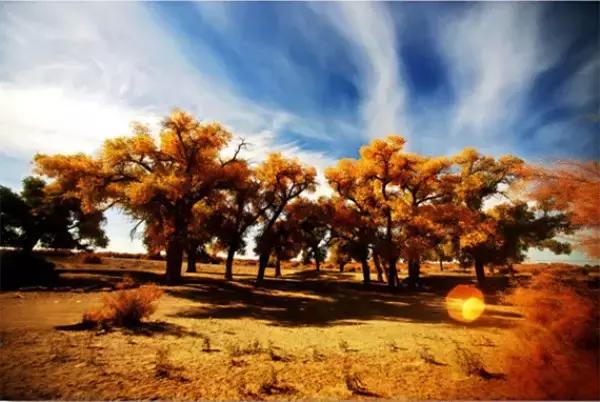 三千年的情缘，三千年的企盼只为这一季的金秋（附攻略）