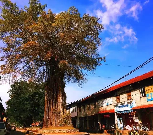 期待!微电影《我在钦州等你》赴关丹取景,将展现中马两国深厚情谊