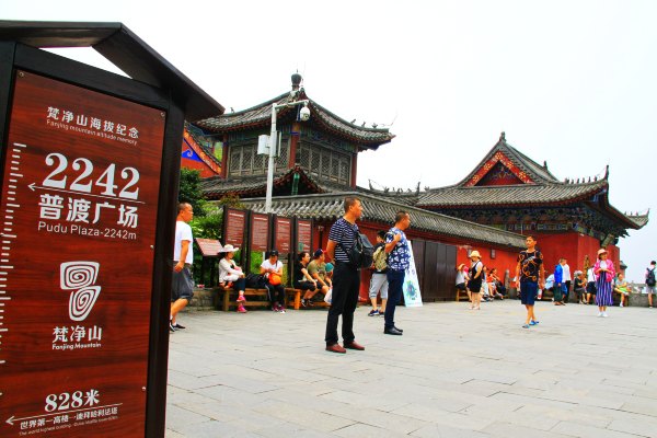 天天有人去山上采蘑菇,每天来观看的游客上万人