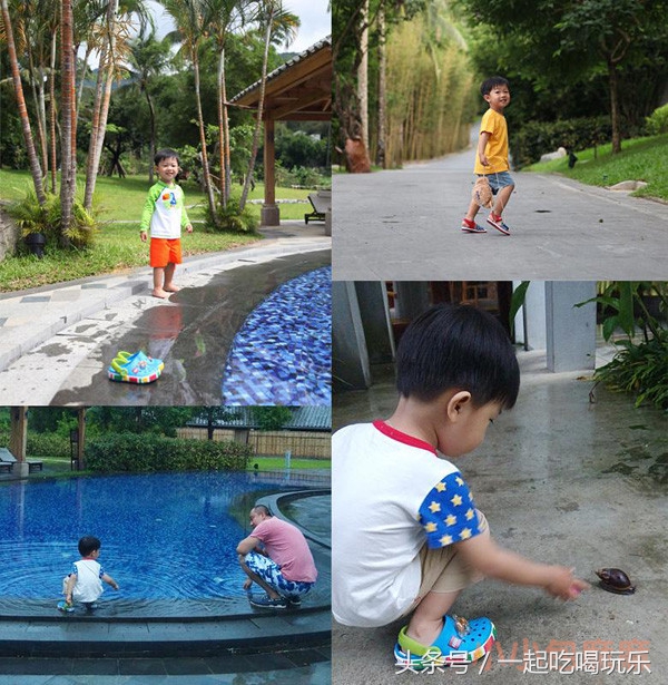 带宝宝长隆野生动物园旅游攻略,广州长隆野生动物园旅游攻略