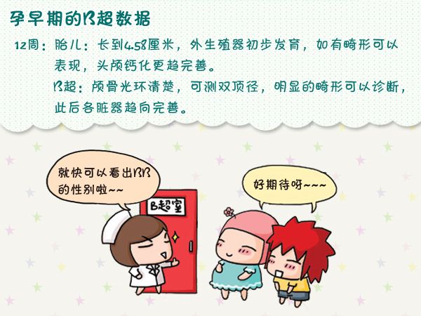 b超单为什么只有一个图,教你怎么看懂b超单