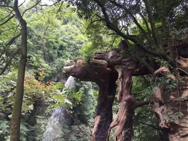 南宝山免费露营耍水,南宝山林海营地有什么耍的