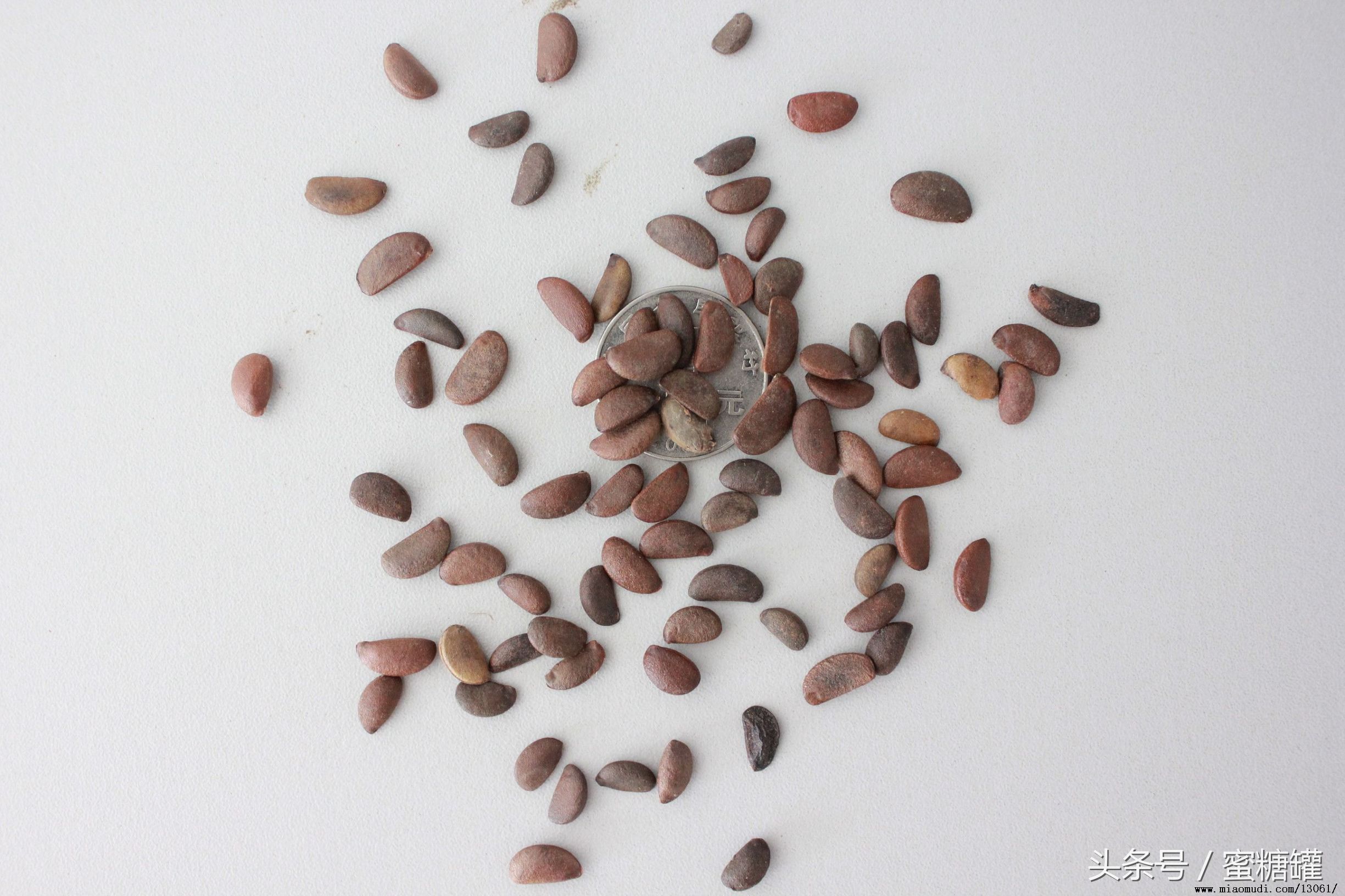 猴枣散宝宝吃有什么副作用,香港宝宝常备药猴枣散