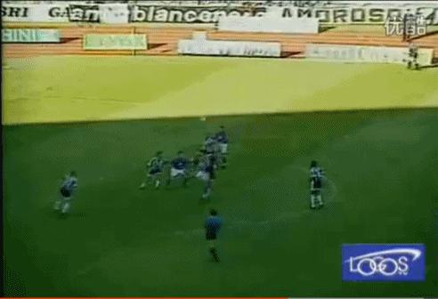 什么是GOSH,什么是BRI