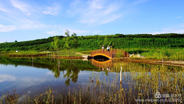 一花一叶总关情，一辆单车游古城，美哉正定！