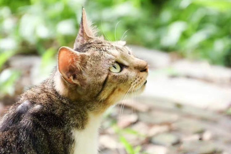 世界因你而美好原唱,世界因你而美好