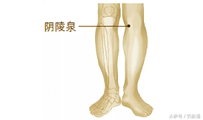 痰湿脾虚肝火旺盛怎么调理艾灸,艾灸如何调理痰湿体质