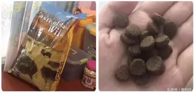 Todayis七夕,这盆狗粮爱妖经替你验过,放心吃吧