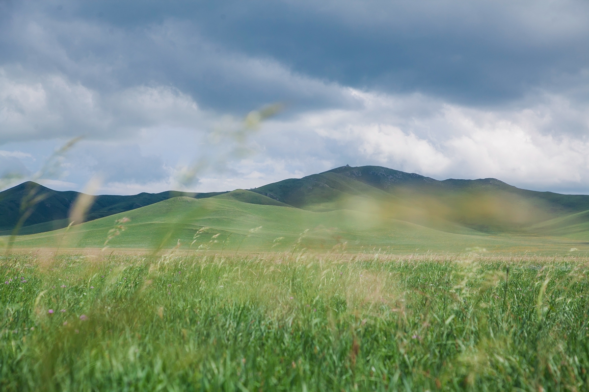 去内蒙，有多少人因为不懂这些文化而闹出了笑话