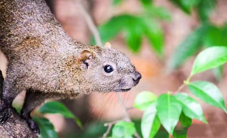 世界因你而美好原唱,世界因你而美好