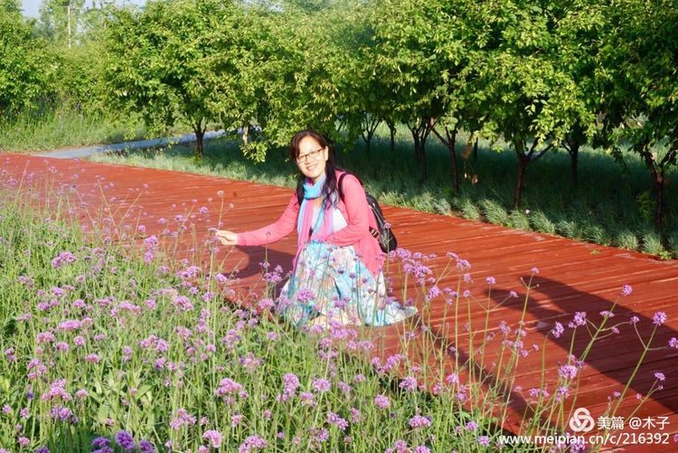 一花一叶总关情，一辆单车游古城，美哉正定！