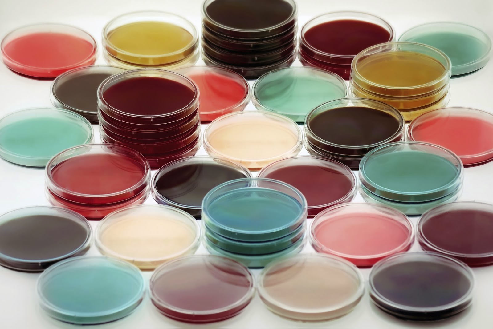 你狠心冲掉的便便,正成为许多肠胃病人的救星