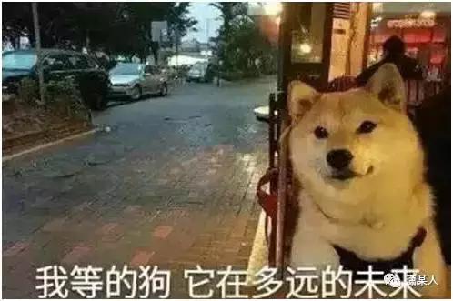 有一种审美，叫男友送的礼物