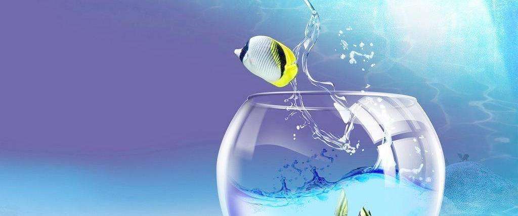 香水怎么选攻略,香水挑选技巧