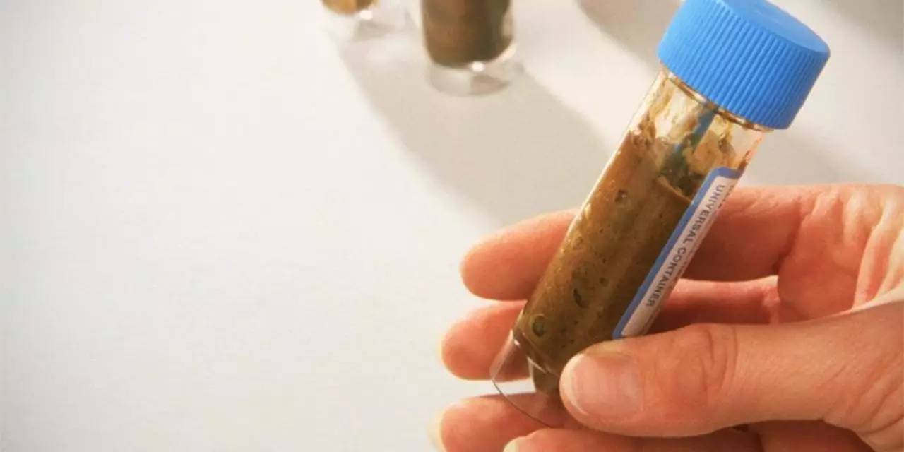 你狠心冲掉的便便,正成为许多肠胃病人的救星