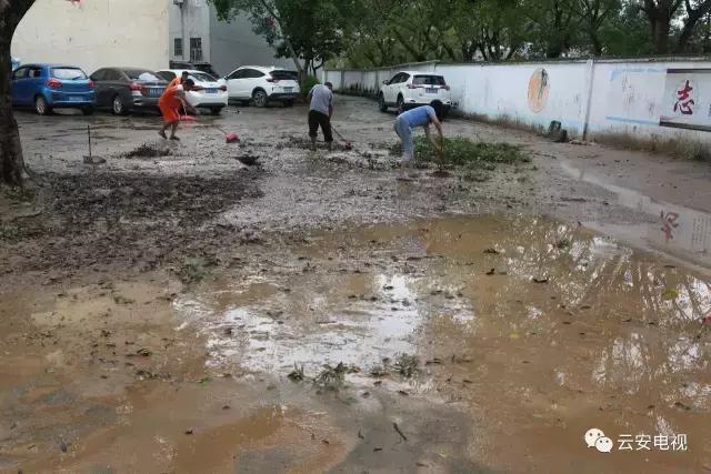 帕卡台风现在情况,帕卡台风最新情况