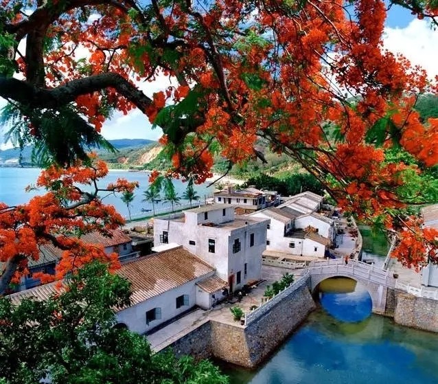 休渔期适合去沿海城市旅游吗,休渔期海岛吃什么