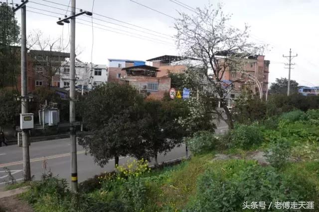 梁中与红中曾合校办学多年~两校原是亲生血缘关系