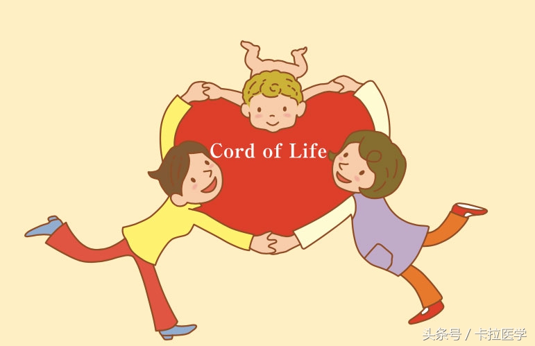 日本一诊所非法使用脐带血狂赚中国人钱，但是什么是脐带血？