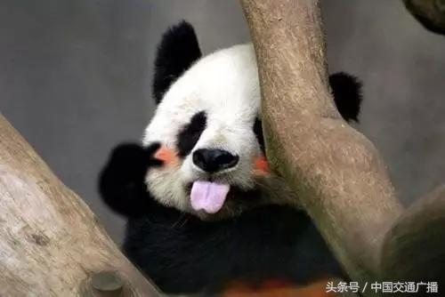 北京地铁19号线美食探秘,北京地铁6号线必吃美食