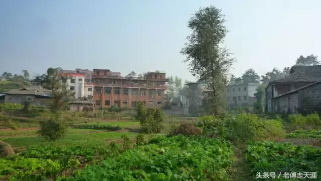 梁中与红中曾合校办学多年~两校原是亲生血缘关系