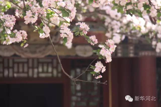 这条飘扬在河北大地的锦绣玉带,真是美爆了