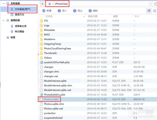 iphone如何导入照片到相册,iphone怎么导入图片到电脑下载app