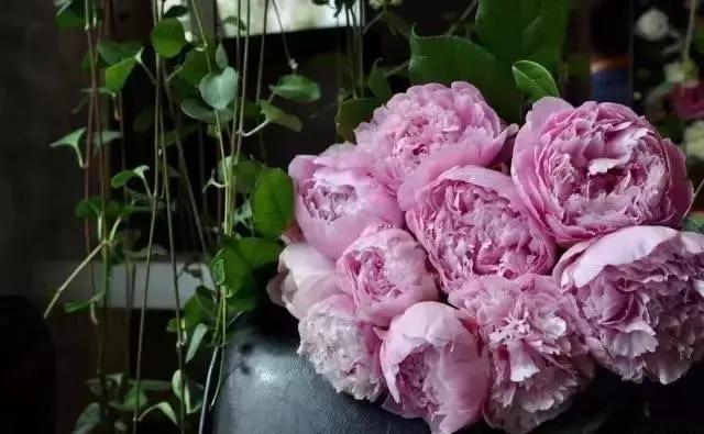 七夕第一次去花店买花应该怎么做,花店七夕节怎么卖花