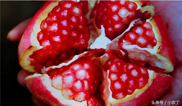 正宗突尼斯软籽石榴10斤新鲜当季,送礼必备佳品突尼斯软籽石榴