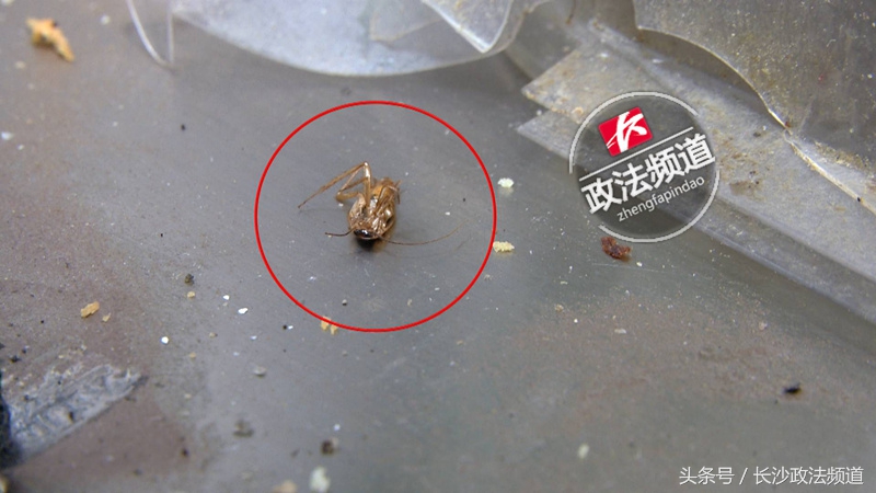 人人乐超市今日消息,人人乐超市周日优惠