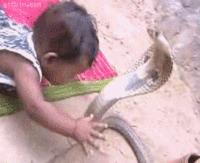 做梦想干啥,做梦和心里想什么有关系嘛