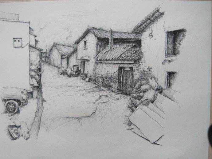 那些花儿｜外婆印象